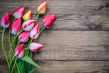 Ahşap arka planda parlak laleler