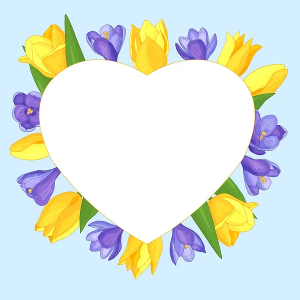 Corazón de marco vectorial con flores de primavera, tulipanes y azafrán — Vector de stock