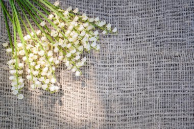 Çuval bezi, bez kumaştan bir arka planda vadinin beyaz zambaklarından oluşan bahar buketi.