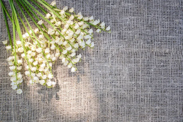 Buquê de primavera de lírios brancos do vale em um fundo de serapilheira, tecido de lona — Fotografia de Stock