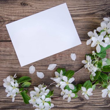 A branch of a blooming apple tree with white flowers and a sheet of paper on a wooden background, with a copy space