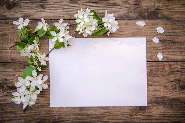A branch of a blooming apple tree with white flowers and a sheet of paper on a wooden background, with a copy space — Stock Photo, Image