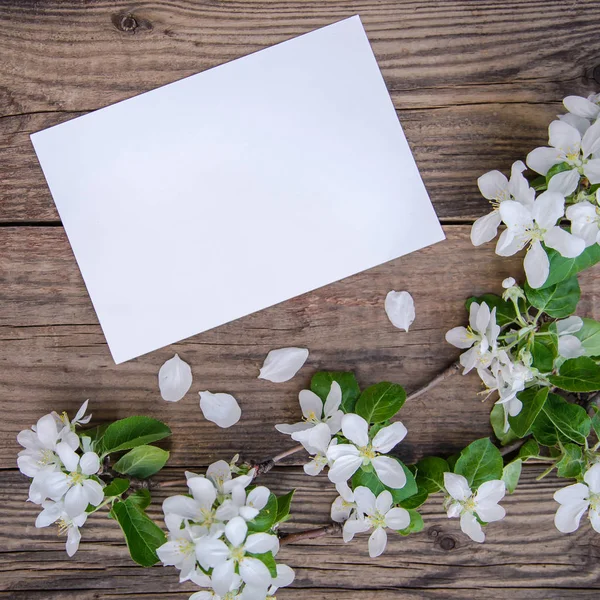 Gałąź kwitnącego jabłoni z białymi kwiatami i kartką papieru na drewnianym tle, z przestrzenią do kopiowania — Zdjęcie stockowe