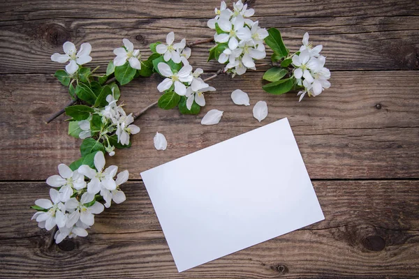 A branch of a blooming apple tree with white flowers and a sheet of paper on a wooden background, with a copy space — Stock Photo, Image