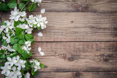 Spring branches of a blooming apple tree with white flowers on a rustic wooden background, with a copy space for the text