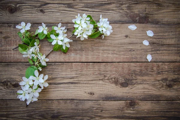 Frühlingszweige Eines Blühenden Apfelbaums Mit Weißen Blüten Auf Rustikalem Holzgrund — Stockfoto