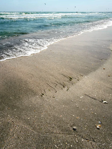 Sand and shell covered beach shore