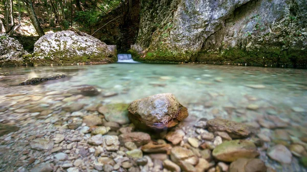 Wet stone on a mountain stream