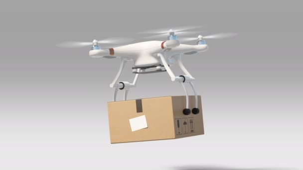 Drone Landing with a Package to the Ground and Flying Away. 3d Animation with Alpha Matte. Modern Delivery Concept. 4k UHD 3840x2160. — Stock Video