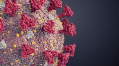 Coronavirus Covid-19 Ekstrem Yakın çekim Bilimsel Görüntü Kusursuz. 2019-Ncov Çin Corona Virüsü 'nün Kara Arkaplan Tıbbi Konsepti 3D animasyonu. 4k Ultra HD 3840x2160.