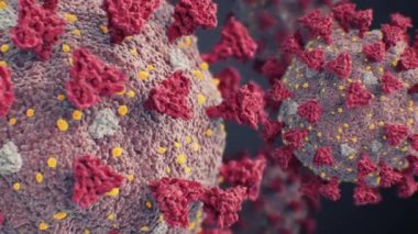 Covid-19 Virüsleri Mikroskopik Aşırı Yakın Çekim Dipsiz Akıyor. Coronavirus Scientific Looped 3d animasyon 2019-ncov. Corona Virüsü Tıbbi Konsepti. 4k Ultra HD 3840x2160.
