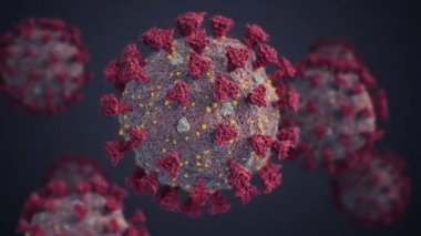 Covid-19 Virüsleri Mikroskobik Yakın Çekim Kusursuz Akıyor. Coronavirus Scientific Illustration 2019-Ncov 'un 3d animasyonunu döndürdü. Çin Corona Virüsü Tıbbi Konsepti. 4k Ultra HD 3840x2160.
