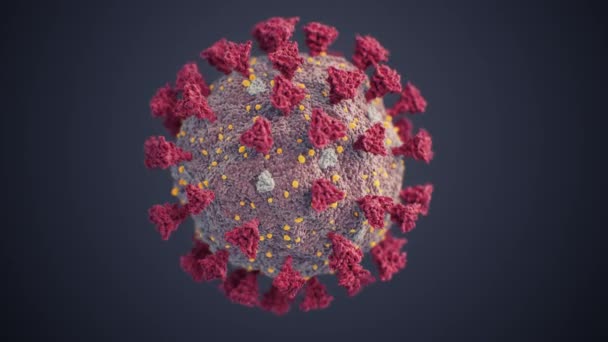 Coronavirus Covid-19 Model Naukowy Ilustracja Płynna. Pętla 3D Animacja 2019-ncov Chinese Corona Virus Close-up on Black Background Izolowana koncepcja medyczna. 4k Ultra HD 3840x2160. — Wideo stockowe