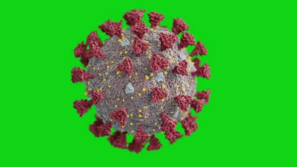 Elektron Mikroskop Yakın Çekim Dikensiz 'de Covid-19 Virüs Yapısı. Yeşil Ekran İzole Tıbbi Konsepti 'nde Coronavirus 2019-ncov DNA' sının 3D animasyonu. 4k Ultra HD 3840x2160. — Stok video