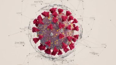 Coronavirus Covid-19 Bilimsel Modelleme Kusursuz. 2019-ncov Corona Virüsü 'nün Şebeke Teknolojik Dijital Yapısı Dönüşümlü 3D animasyonu. 4k Ultra HD 3840x2160.