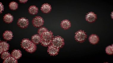 Coronavirus Covid-19 Viral Ajanları Siyah Arkaplan ve Yeşil Ekran Bilimsel Resimleri Üzerine İlerliyor. 2019-ncov Corona Virüsü 'nün 3D animasyonu. Kapalı tıbbi konsept. 4k Ultra HD 3840x2160.