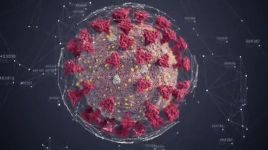 Yeni Coronavirus 2019-nCov Mikroskobu 3D döngüsünü kapatın. Asya Grip Salgını ve Koronavirüs Salgınından Sorumlu Tehlikeli Grip Hastalığı. Coronavirüs Grip Konsepti. 4k Ultra HD 3840x2160.