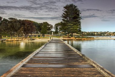 Point Walter, Batı Avustralya 'daki Kuğu Nehri' nin bir noktasıdır. Point Walter, Bicton banliyösünde, Perth Cbd 'nin yaklaşık 12 km güneyinde ve Fremantle' ın 7 km kuzeydoğusunda yer almaktadır.