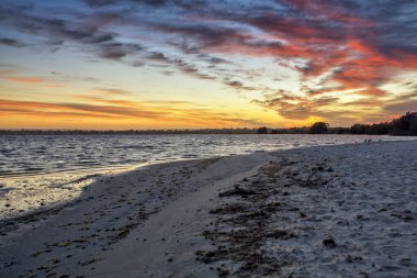 Point Walter, Batı Avustralya 'daki Kuğu Nehri' nin bir noktasıdır. Point Walter, Bicton banliyösünde, Perth Cbd 'nin yaklaşık 12 km güneyinde ve Fremantle' ın 7 km kuzeydoğusunda yer almaktadır.