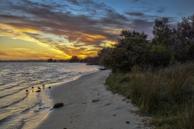 Point Walter, Batı Avustralya 'daki Kuğu Nehri' nin bir noktasıdır. Point Walter, Bicton banliyösünde, Perth Cbd 'nin yaklaşık 12 km güneyinde ve Fremantle' ın 7 km kuzeydoğusunda yer almaktadır..