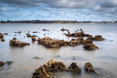 Point Walter, Batı Avustralya 'daki Kuğu Nehri' nin bir noktasıdır. Point Walter, Bicton banliyösünde, Perth Cbd 'nin yaklaşık 12 km güneyinde ve Fremantle' ın 7 km kuzeydoğusunda yer almaktadır..