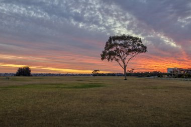 Point Walter, Batı Avustralya 'daki Kuğu Nehri' nin bir noktasıdır. Point Walter, Bicton banliyösünde, Perth Cbd 'nin yaklaşık 12 km güneyinde ve Fremantle' ın 7 km kuzeydoğusunda yer almaktadır..