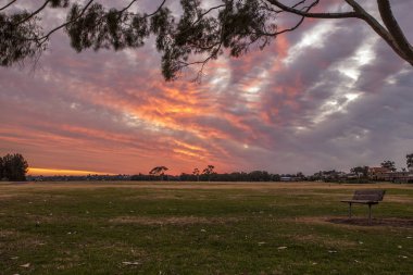 Point Walter, Batı Avustralya 'daki Kuğu Nehri' nin bir noktasıdır. Point Walter, Bicton banliyösünde, Perth Cbd 'nin yaklaşık 12 km güneyinde ve Fremantle' ın 7 km kuzeydoğusunda yer almaktadır..
