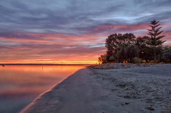 Point Walter Místo Labutí Řece Západní Austrálii Point Walter Nachází — Stock fotografie