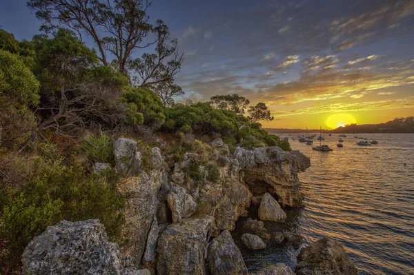 Point Walter Batı Avustralya Daki Kuğu Nehri Nin Bir Noktasıdır — Stok fotoğraf