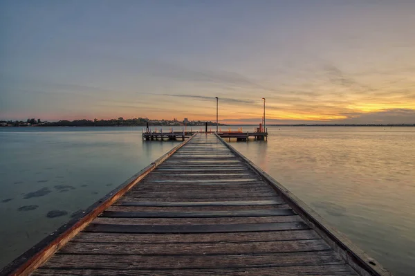 Point Walter Místo Labutí Řece Západní Austrálii Point Walter Nachází — Stock fotografie