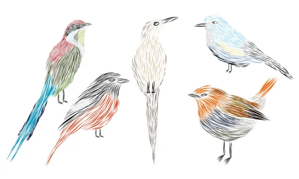 Zbiór Różnych Dzieł Sztuki Ilustrowany Ptaki Wyposażone Pociągnięcia Pędzlem — Wektor stockowy