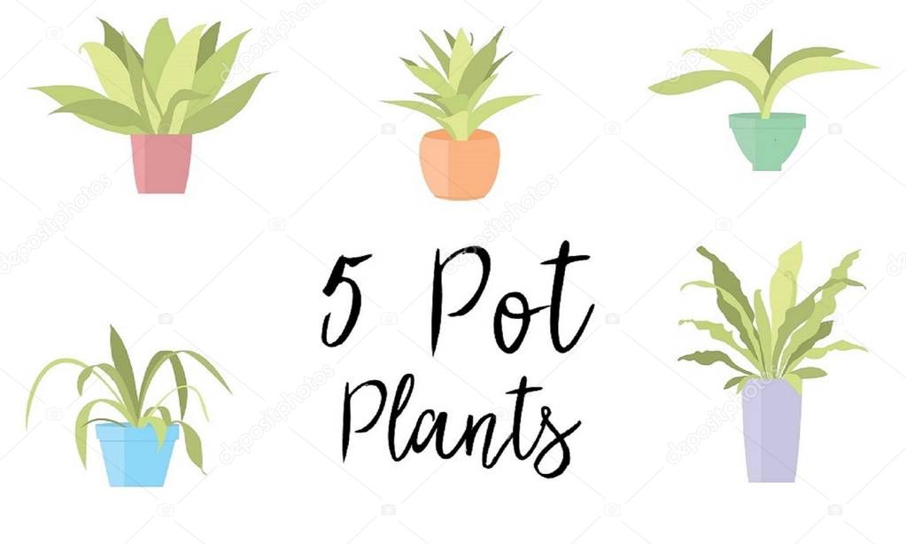 5 Pot Plants with pastel colored pots