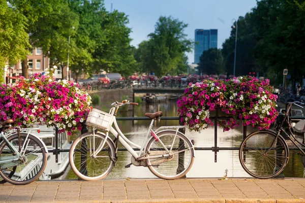 Fietsen staan op brug — Stockfoto