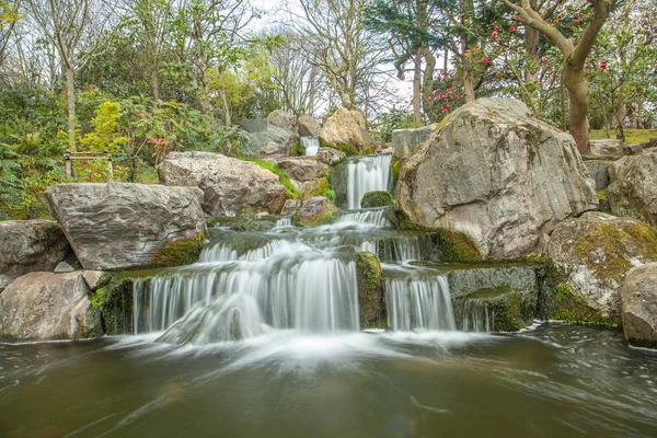 Holland park, London — Stock Photo, Image