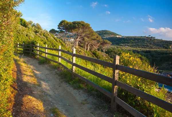 Zeytin koruya yolunu tırmanmak.