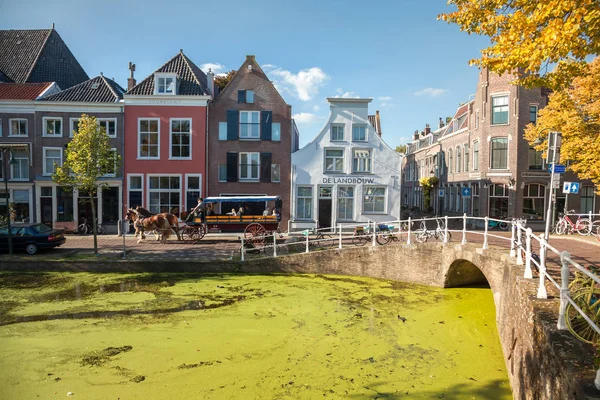 Accogliente Quartiere Della Città Con Belle Case Fiume Fiorito Carro — Foto Stock