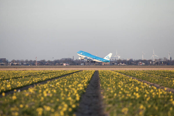 Вид летающего самолета и желтый фон полевых цветов
