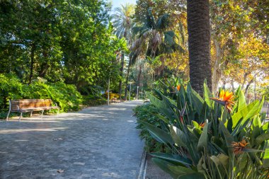 Kamu Parkı Center'da Malaga, İspanya
