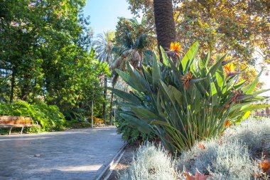 Kamu Parkı Center'da Malaga, İspanya