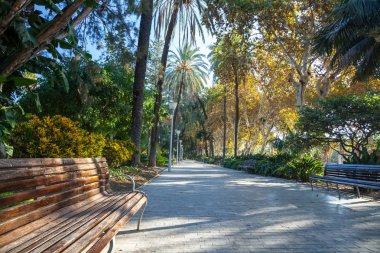 Kamu Parkı Center'da Malaga, İspanya