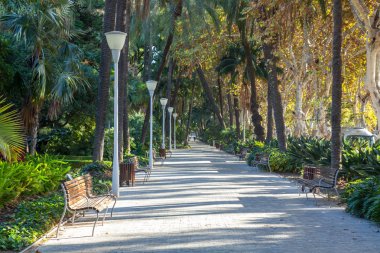 Kamu Parkı Center'da Malaga, İspanya