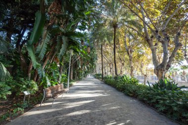 Kamu Parkı Center'da Malaga, İspanya