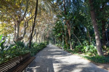 Kamu Parkı Center'da Malaga, İspanya