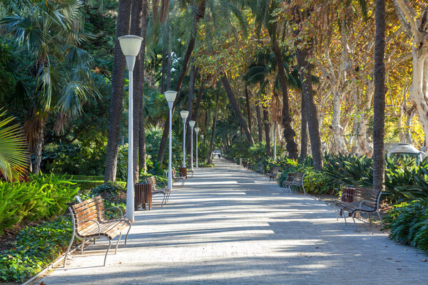 Public park in  Malaga center, Spain