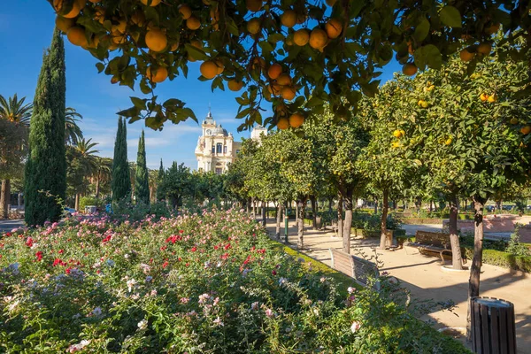 Kamu Parkı Center'da Malaga, İspanya