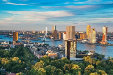 Rotterdam, Hollanda - 30 Temmuz 2017: binalar ve liman ile şehir manzarası doğal görünümünü