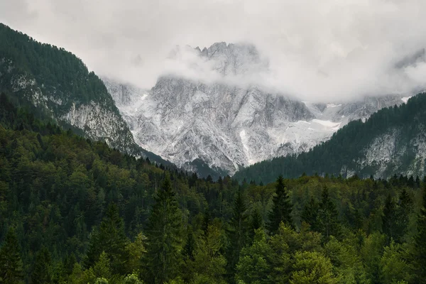 Slovenya bulutlu Alp Dağları