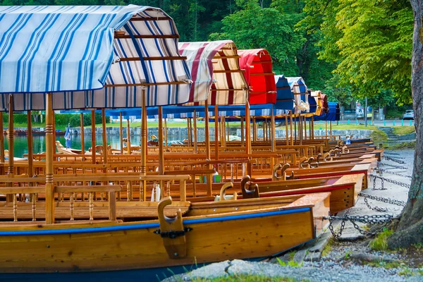 Pletna tekneler closeup Slovenya Lake Bled üzerinde bir göl ağacın altında sabitlemek