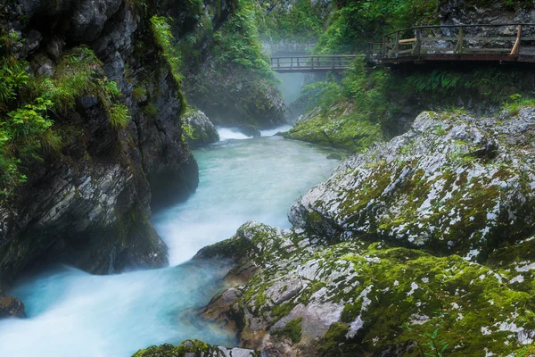 Desfiladero de Vintgar y río Radovna con sendero y rocas cerca de Bled, Eslovenia — Foto de Stock