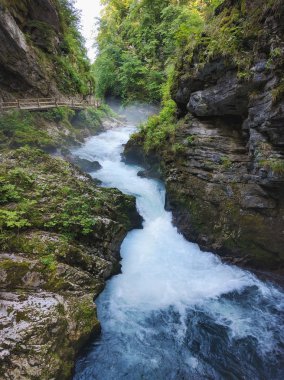 Bled, Slovenya Vintgar gorge ve iz hiking ile Radovna Nehri yakınında